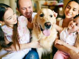 Happy puppy with new family