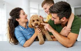 Happy family with their puppy